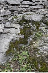 Overgrown Walls Stones